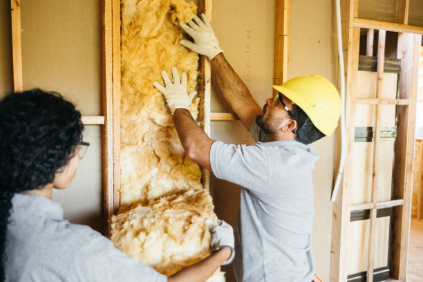Best Insulation Removal  in Jnstown, OH