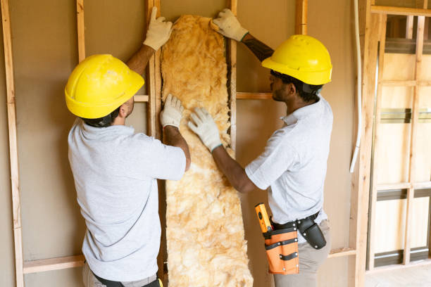 Best Insulation Inspection Services  in Jnstown, OH